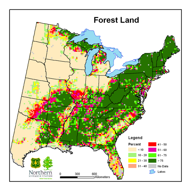 % Forest